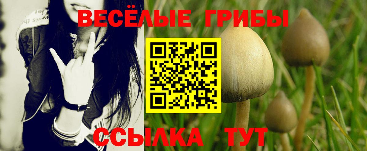 Новомосковск  Галлюциногенные грибы прущие грибы  Вход с VPN 